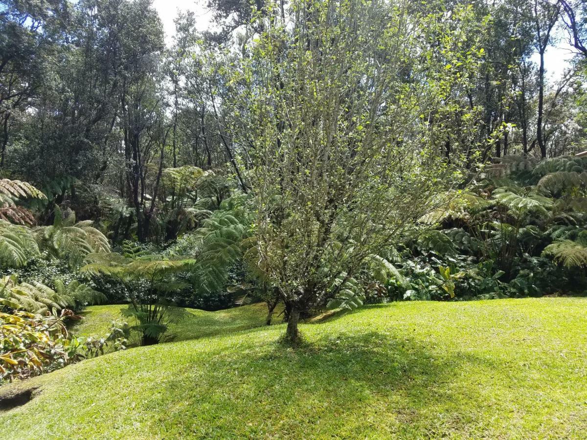 'Ama'U Lani Cottage Volcano Buitenkant foto