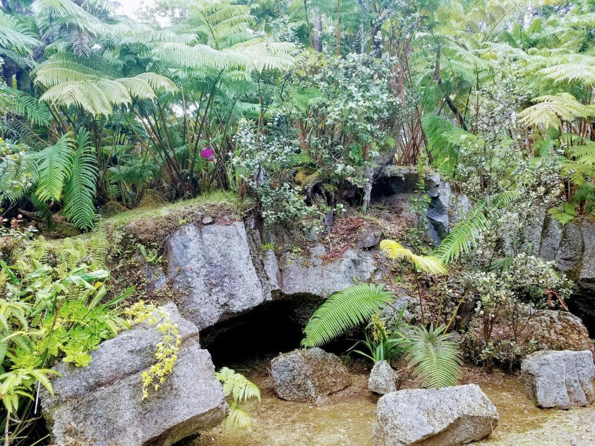 'Ama'U Lani Cottage Volcano Buitenkant foto