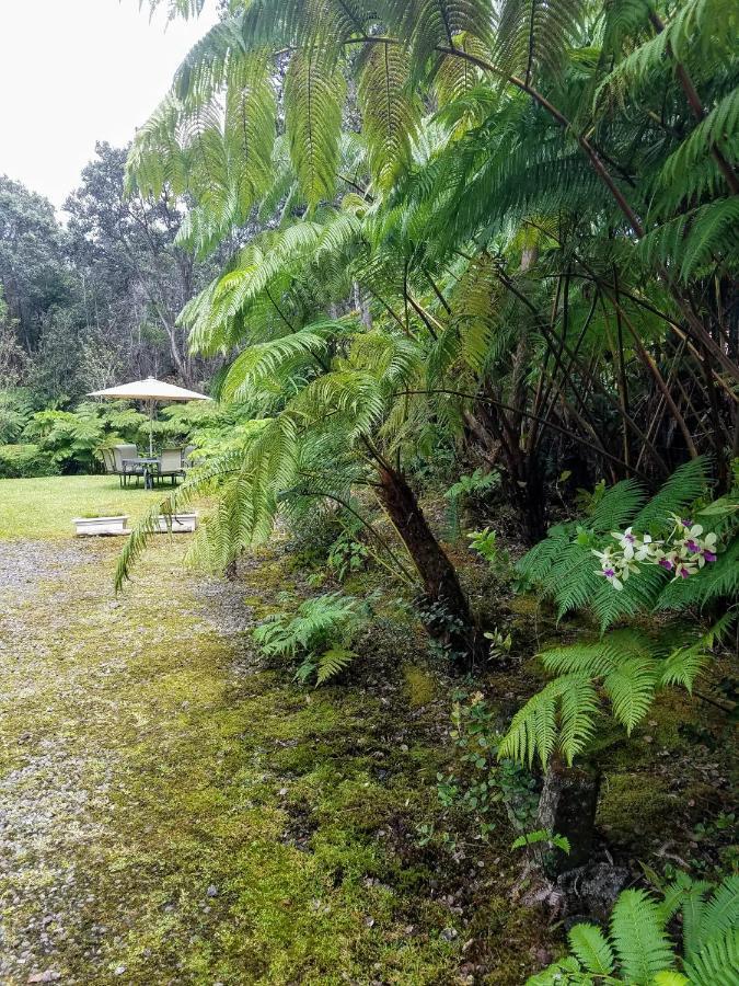 'Ama'U Lani Cottage Volcano Buitenkant foto